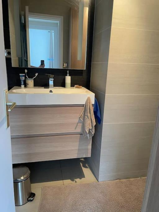 Appartement A 150M Du Lac- Plage De L'Imperial Annecy Dış mekan fotoğraf